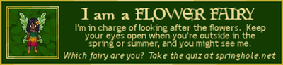 whatfairy_flowerfairy.png