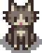 Chamomile the cat